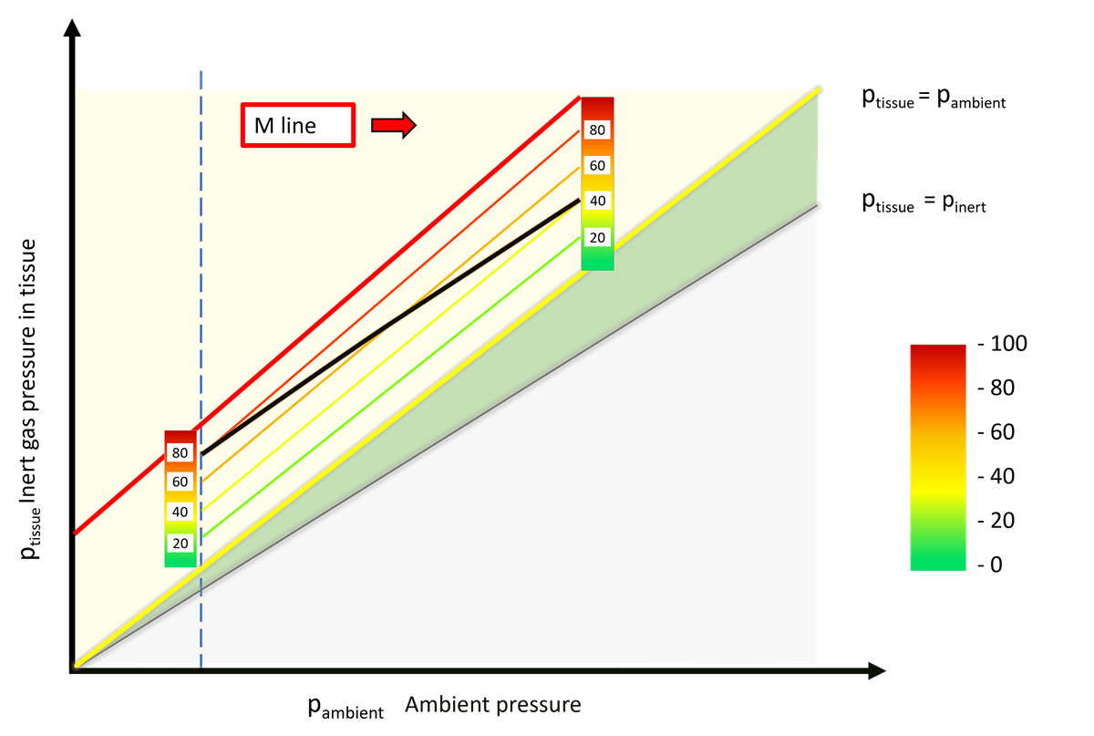 M-lines and Gradient Factors