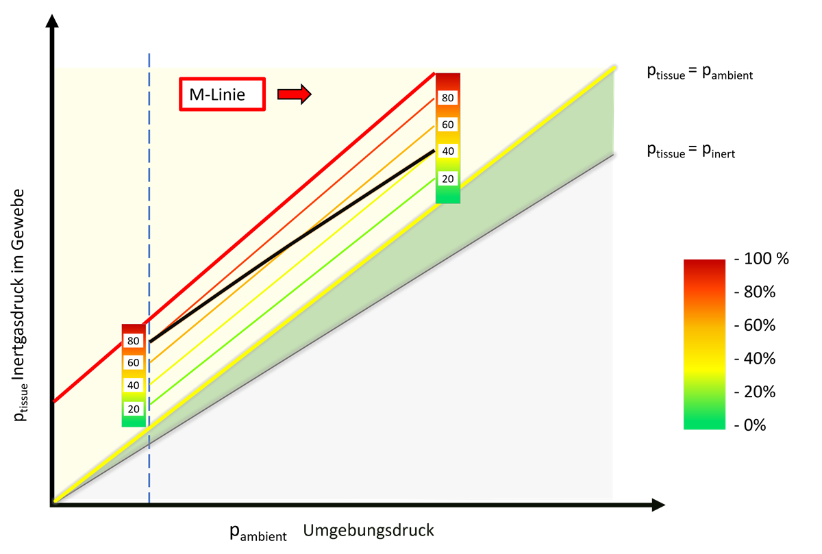 M-Linien und Gradientenfaktoren
