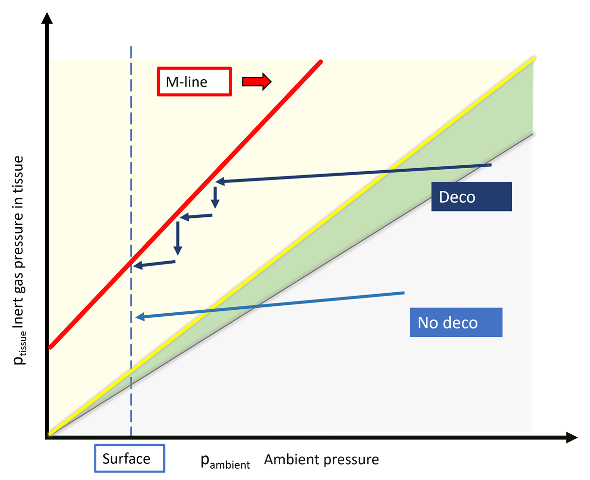 M-line, no-decompression limit and decompression